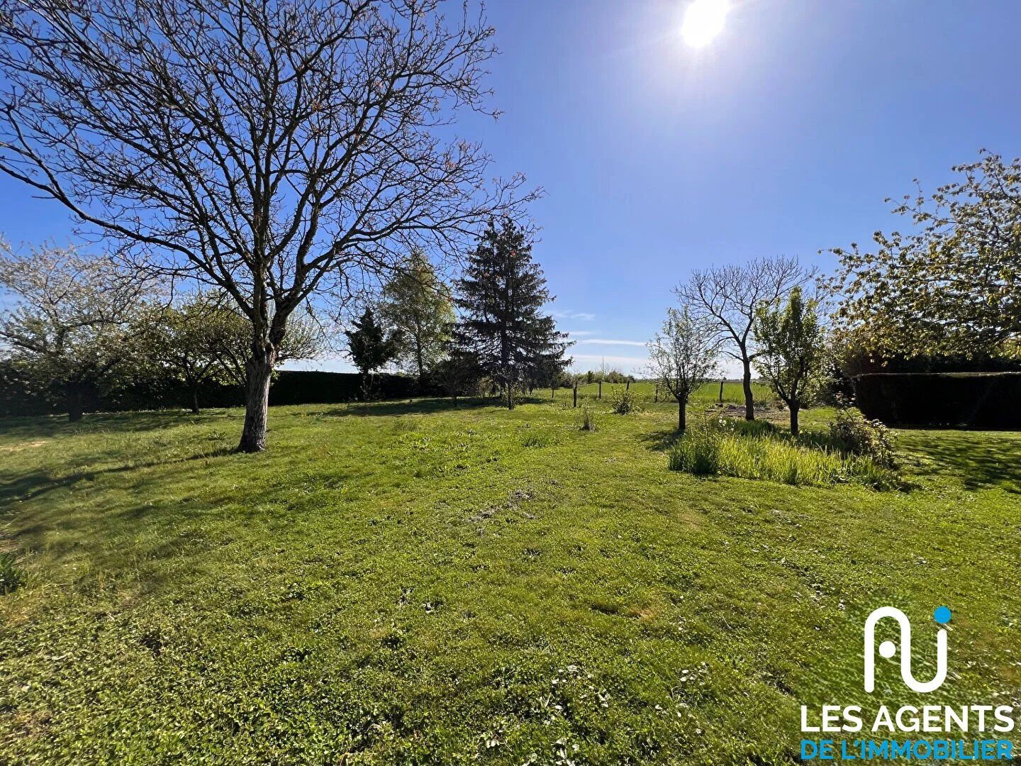Property view 5